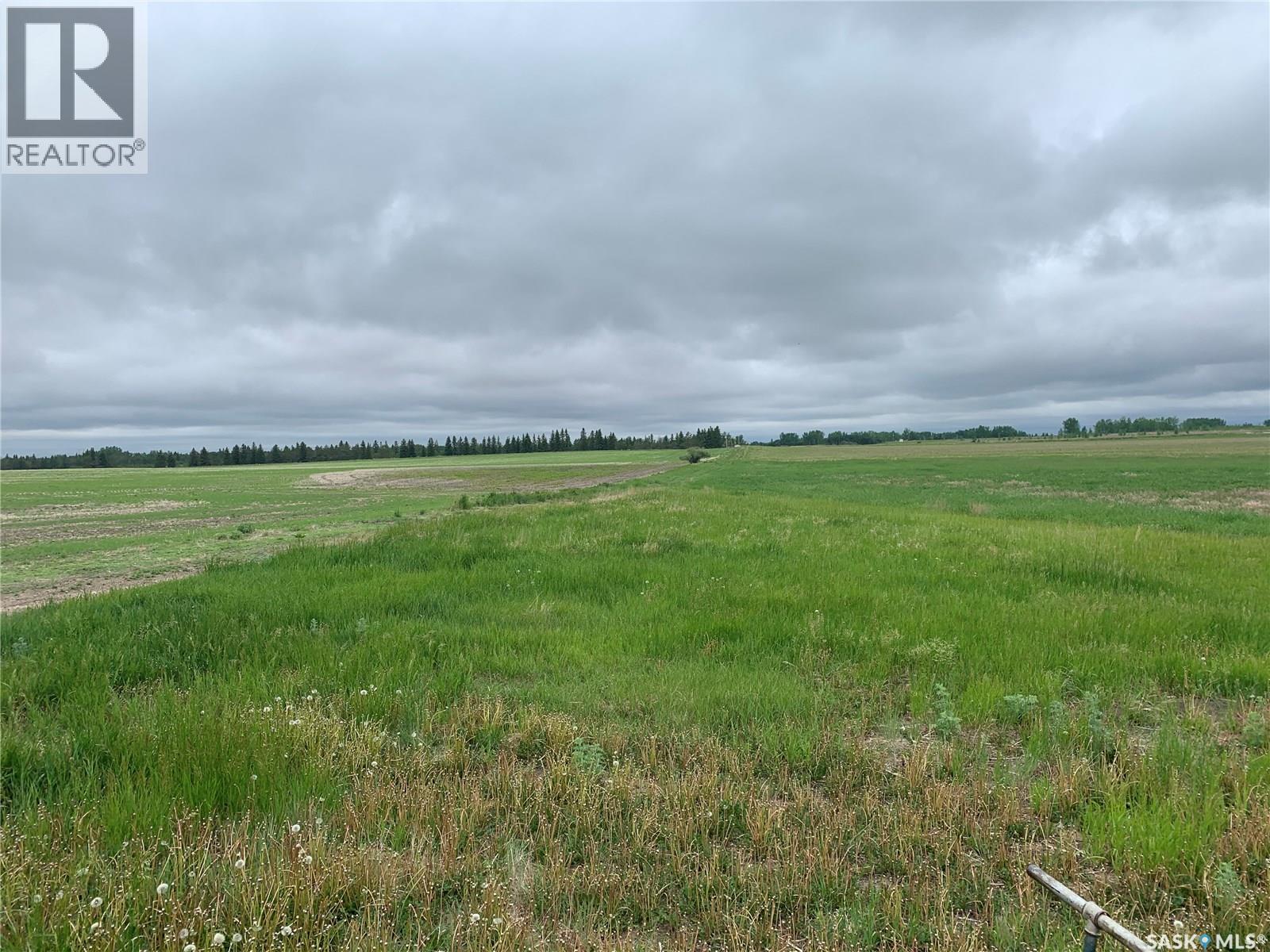 140 Acres Mcdonald Street East On 46, Pilot Butte, Saskatchewan  S0G 4A0 - Photo 13 - SK024408