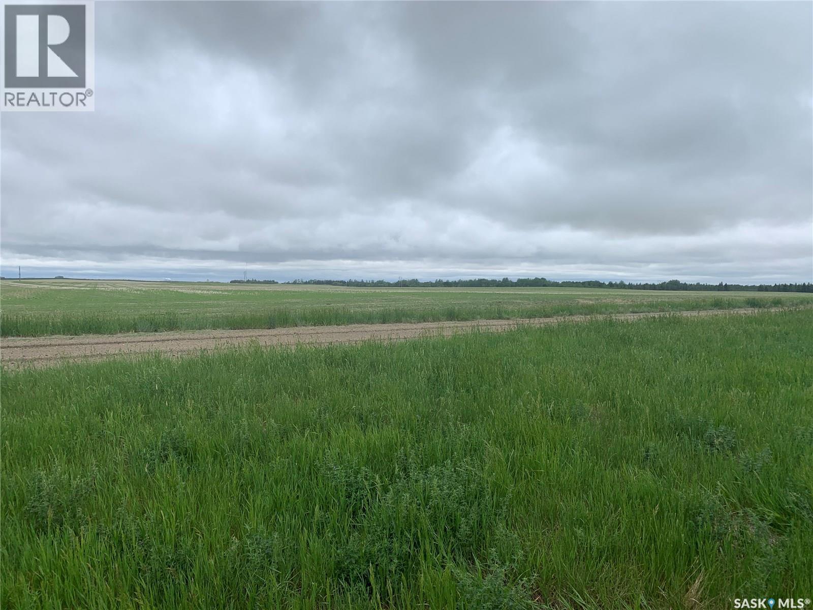 140 Acres Mcdonald Street East On 46, Pilot Butte, Saskatchewan  S0G 4A0 - Photo 17 - SK024408