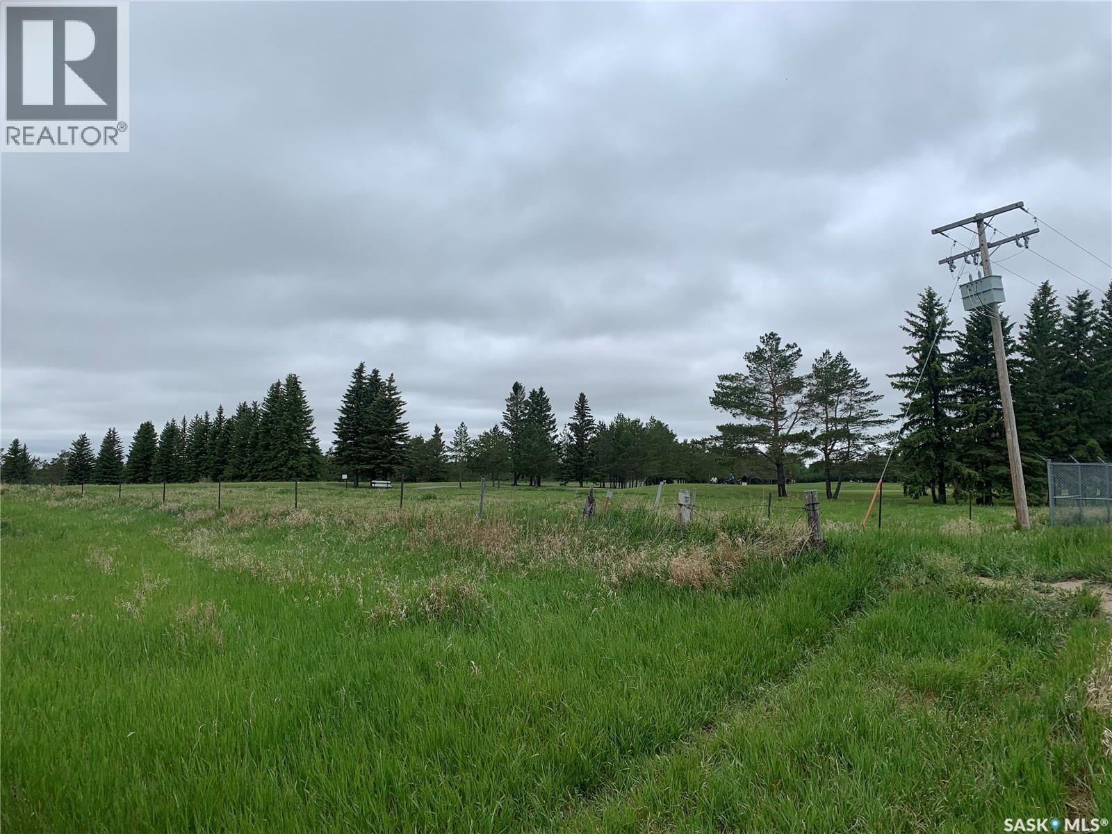 140 Acres Mcdonald Street East On 46, Pilot Butte, Saskatchewan  S0G 4A0 - Photo 8 - SK024408