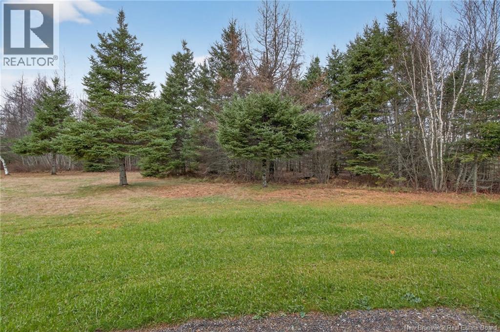 8 Fawcett Avenue, Petitcodiac, New Brunswick  E4Z 4H4 - Photo 39 - NB126877
