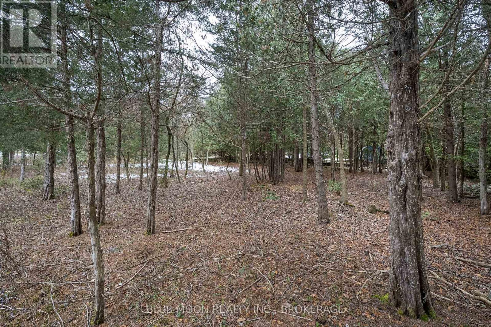 1 Riverwood Cove, Stone Mills, Ontario  K0K 3N0 - Photo 16 - X12565446