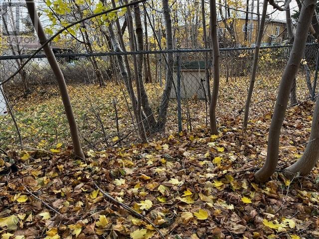 35 Weymouth Street, St. John's, Newfoundland & Labrador  A1B 2B7 - Photo 49 - 1292800