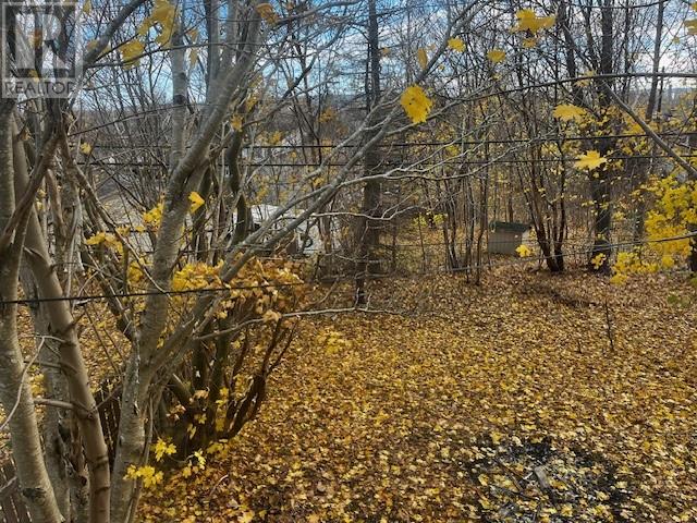 35 Weymouth Street, St. John's, Newfoundland & Labrador  A1B 2B7 - Photo 50 - 1292800