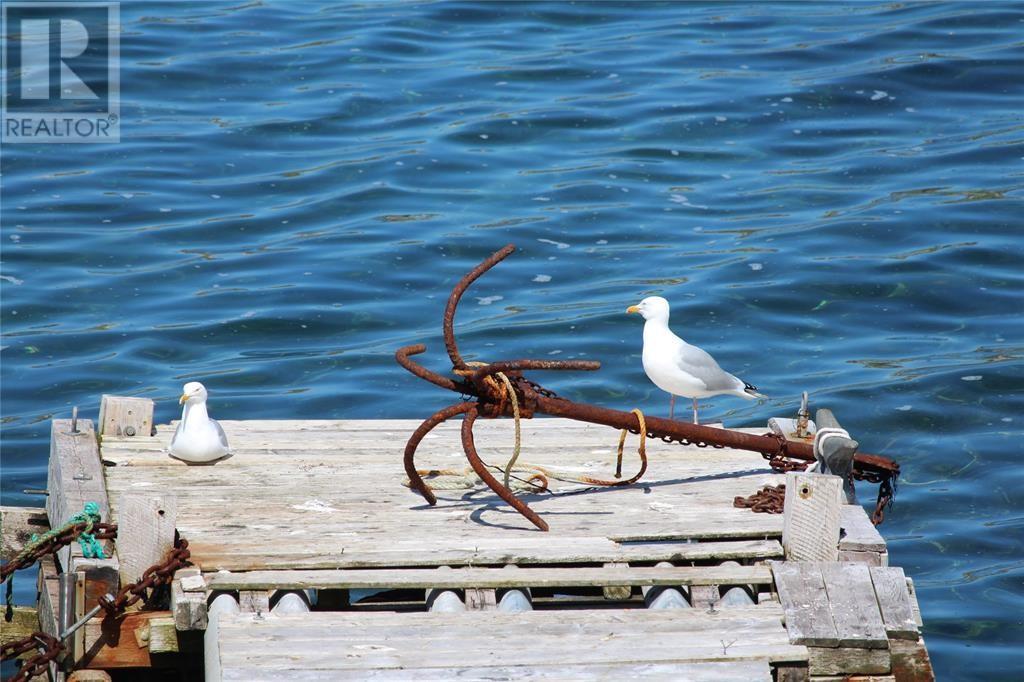 53 Beach Road, Cavendish, Newfoundland & Labrador  A0B 1J0 - Photo 20 - 1292473