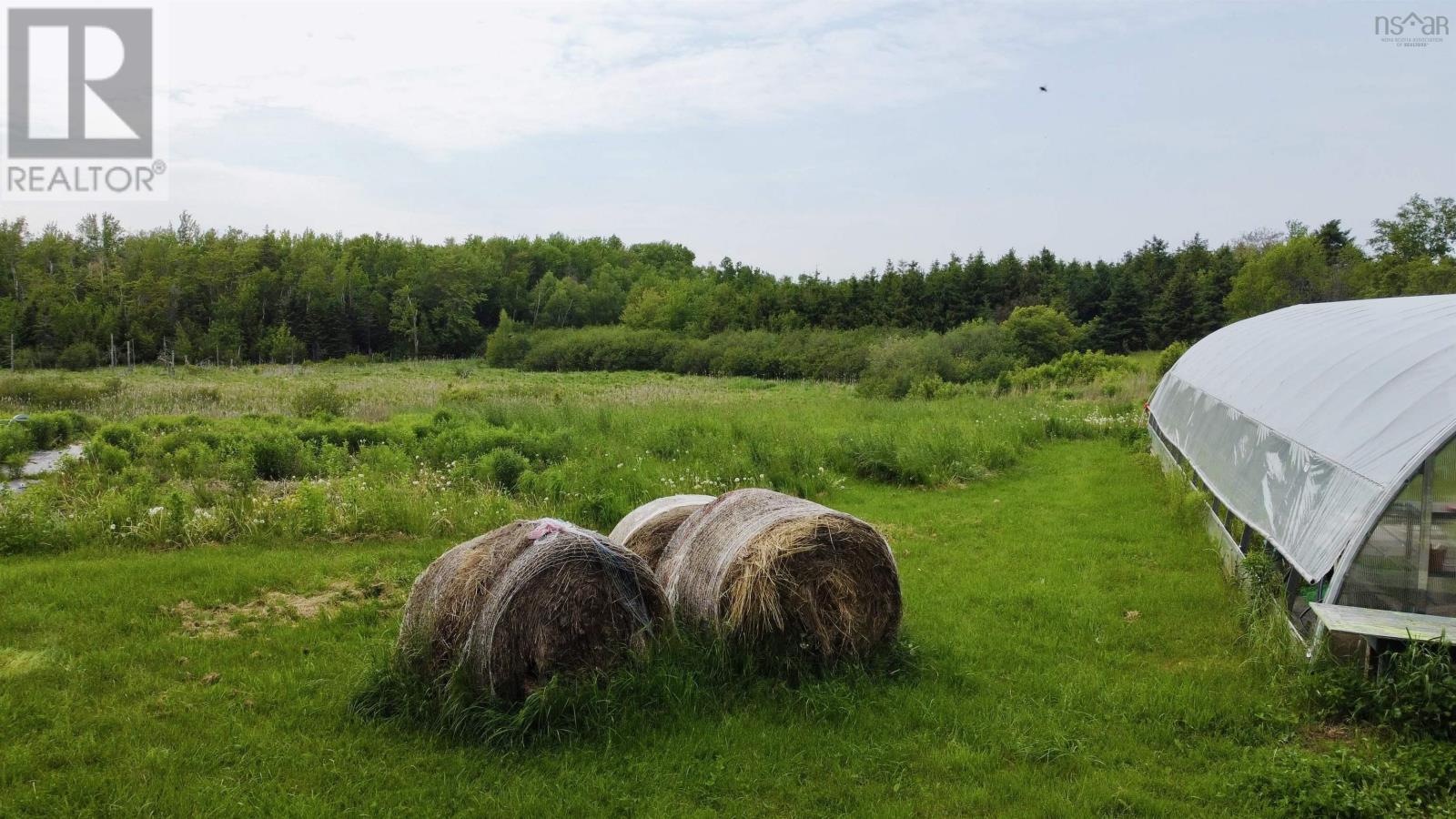 5 Carlson Lane, Marshville, Nova Scotia  B0K 1N0 - Photo 12 - 202518125