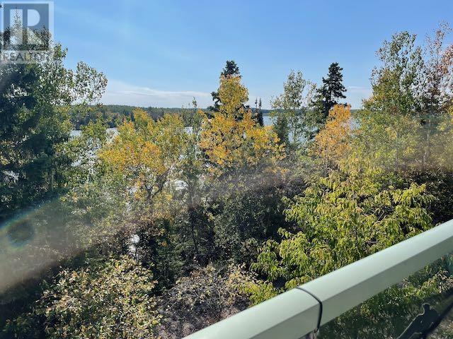 164 Doves Rd, Oxdrift, Ontario  P0V 2J0 - Photo 39 - TB251288