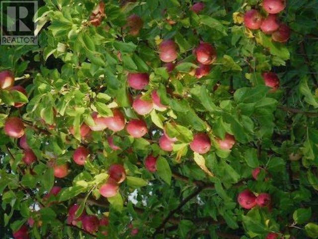 164 Doves Rd, Oxdrift, Ontario  P0V 2J0 - Photo 45 - TB251288