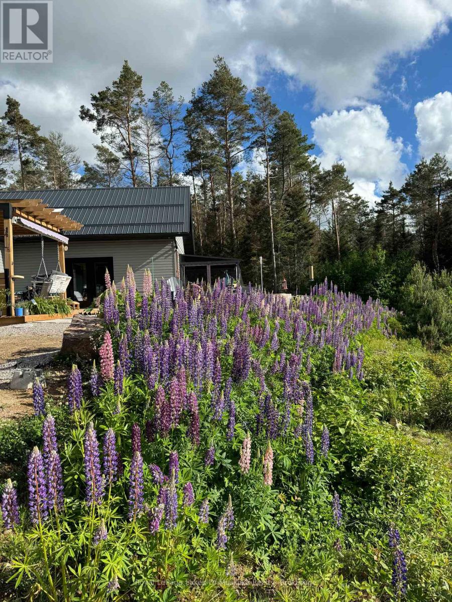 679 Boulder Road, South River, Ontario  P0A 1X0 - Photo 30 - X12565830