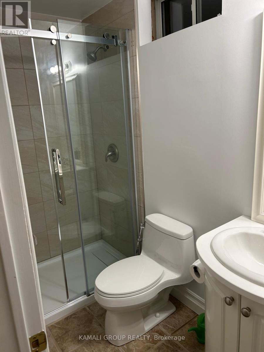 Bsmt - 271 Rhodes Circle, Newmarket, Ontario  L3X 1V4 - Photo 10 - N12565668