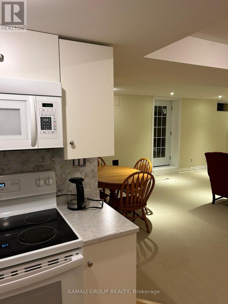 Bsmt - 271 Rhodes Circle, Newmarket, Ontario  L3X 1V4 - Photo 8 - N12565668