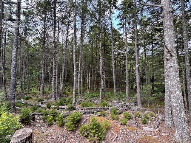 Lot 25 Beaver Dam Trail, Labelle, Nova Scotia  B0T 1E0 - Photo 20 - 202519898