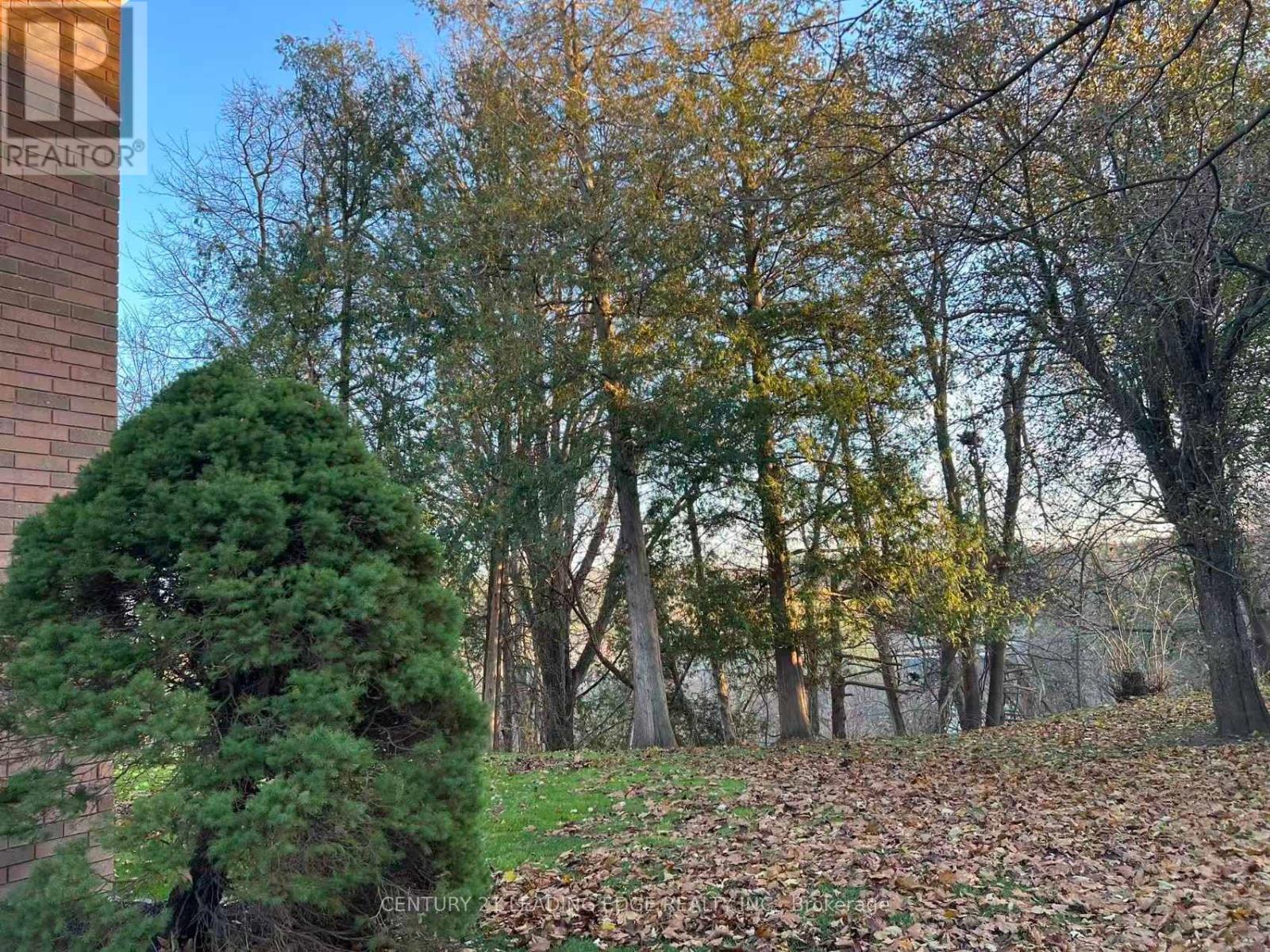 17 Mcphillips Avenue, Markham, Ontario  L3P 1C4 - Photo 33 - N12563400