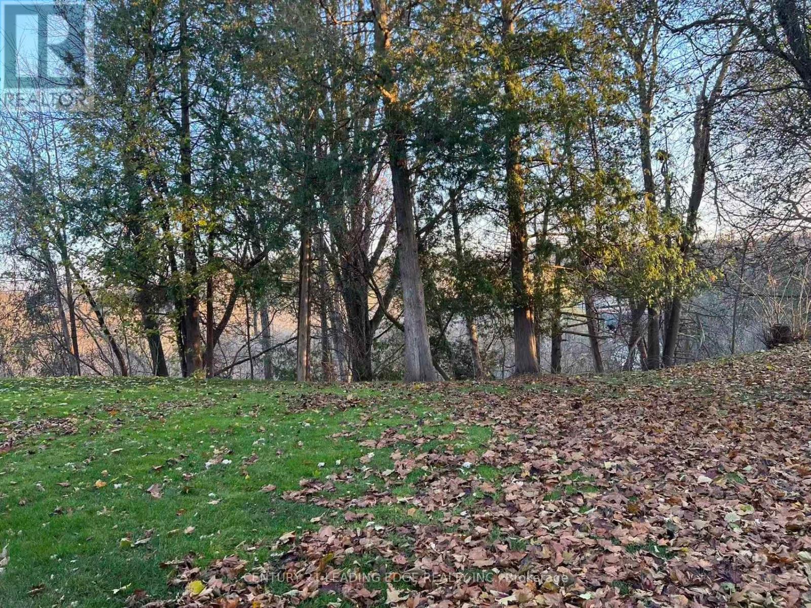 17 Mcphillips Avenue, Markham, Ontario  L3P 1C4 - Photo 34 - N12563400