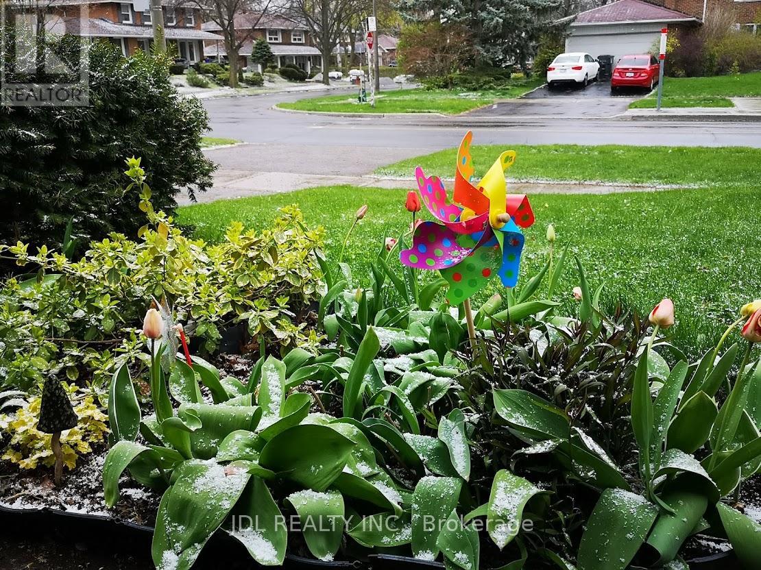 Main Fl - 36 Mcnicoll Avenue, Toronto, Ontario  M2H 2A8 - Photo 7 - C12566160