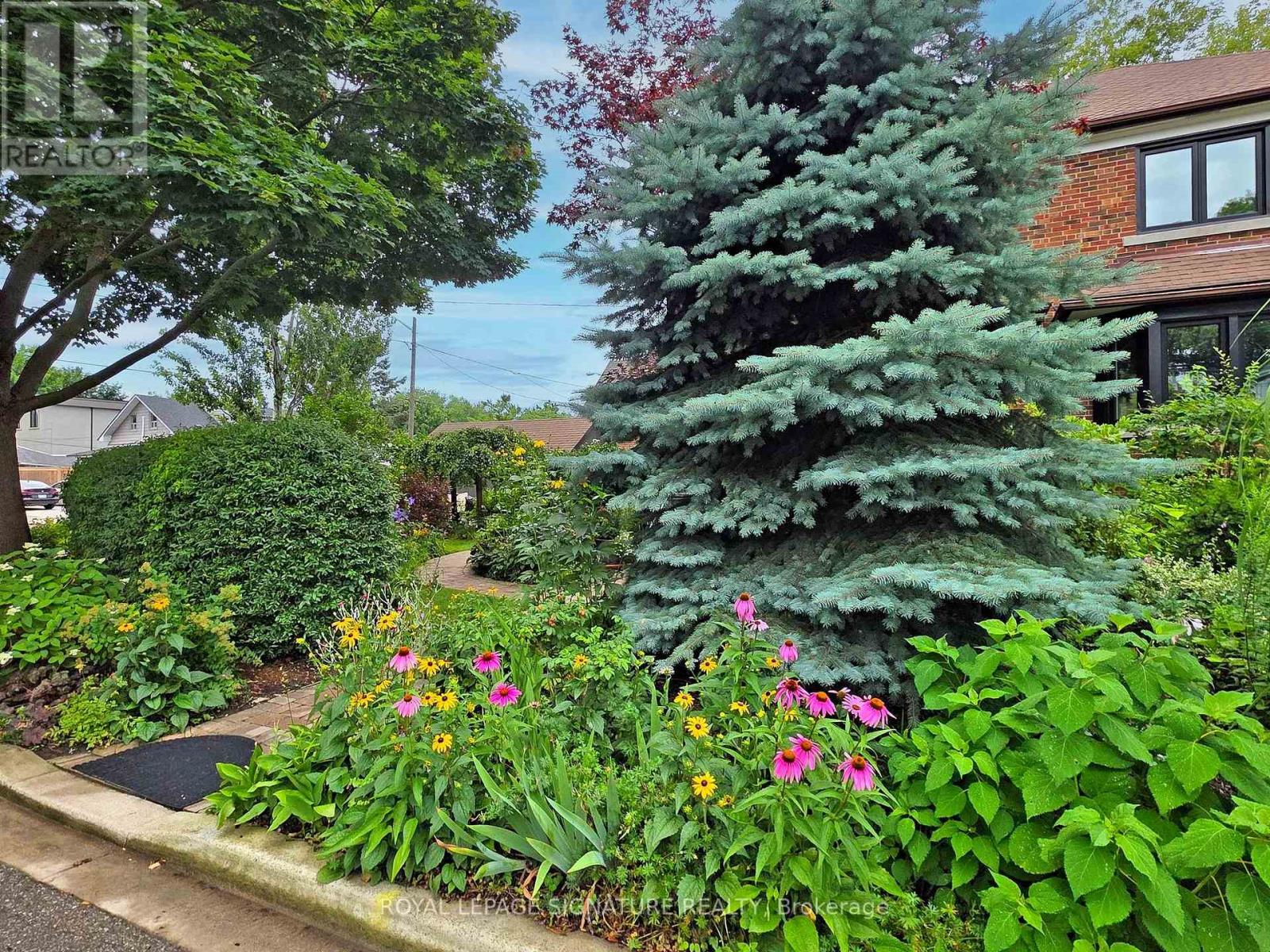 92 Alder Crescent, Toronto, Ontario  M8V 2H8 - Photo 31 - W12566092