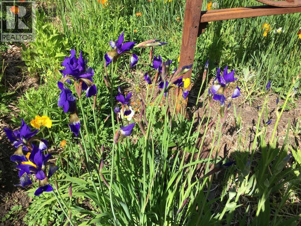 656 Royalite Way Se, Diamond Valley, Alberta  T0L 2A0 - Photo 50 - A2271365