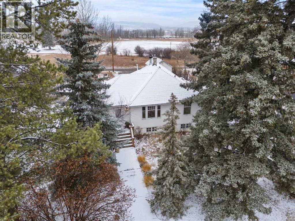 656 Royalite Way Se, Diamond Valley, Alberta  T0L 2A0 - Photo 43 - A2271365