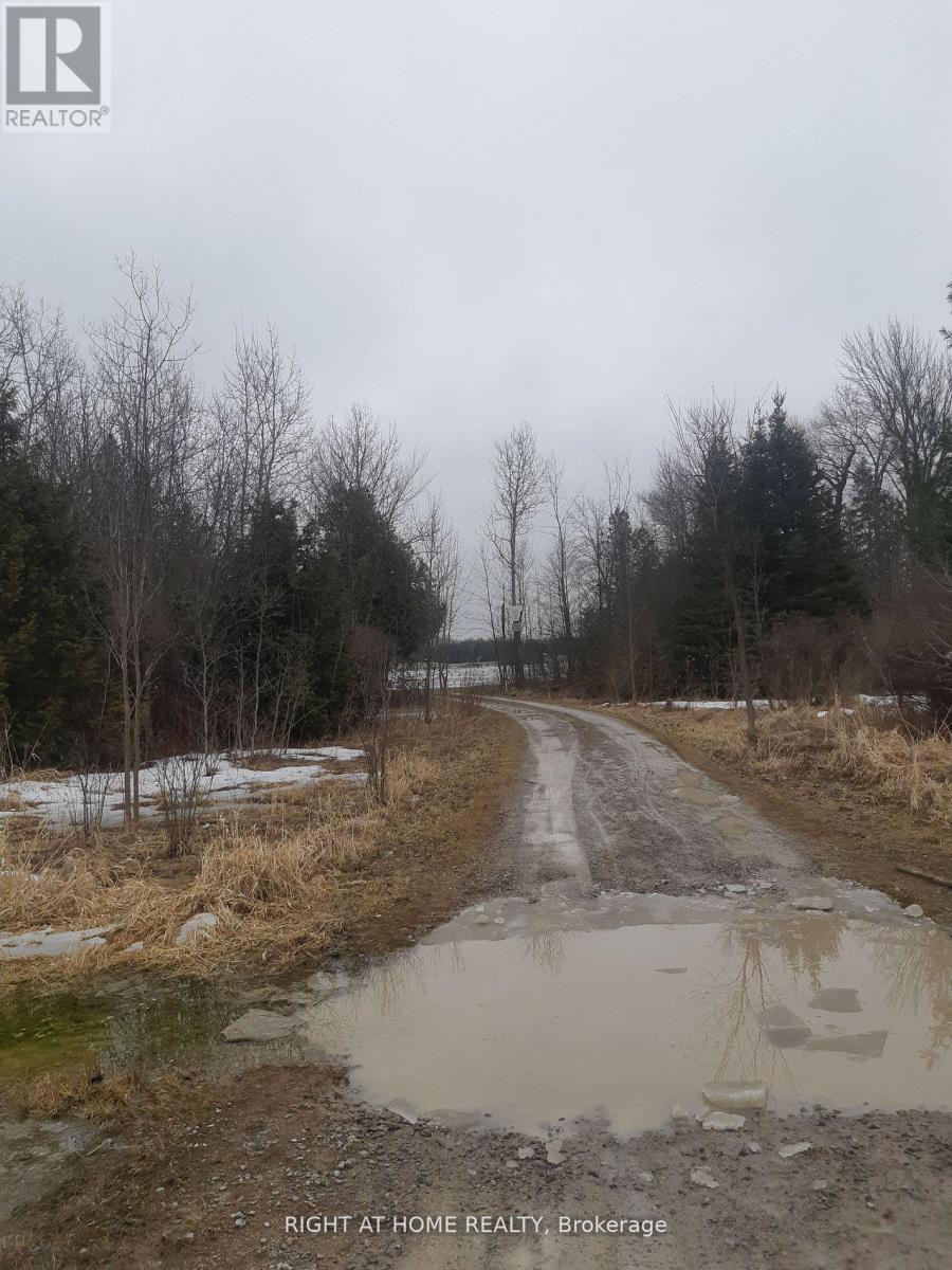 208 Mcguire Beach Road, Kawartha Lakes, Ontario  K0M 2B0 - Photo 2 - X12566298