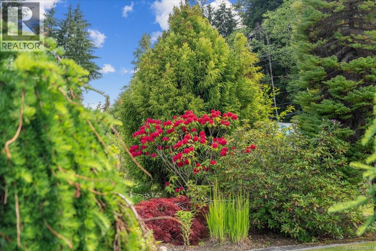 1546 Sayward Rd, Sayward, British Columbia  V0P 1R0 - Photo 72 - 1020853