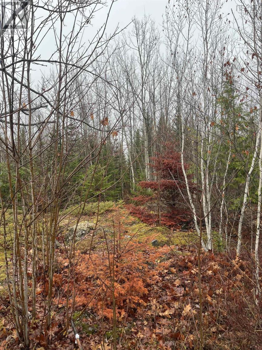 Lot 2021-1 Crocker Road, Harmony, Nova Scotia  B0P 1R0 - Photo 5 - 202528387