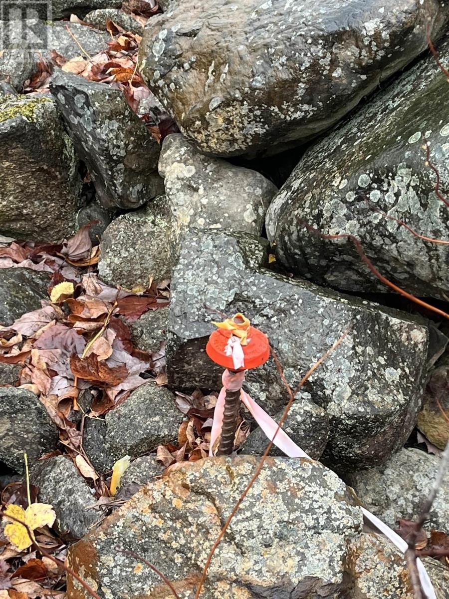 Lot 2021-1 Crocker Road, Harmony, Nova Scotia  B0P 1R0 - Photo 10 - 202528387