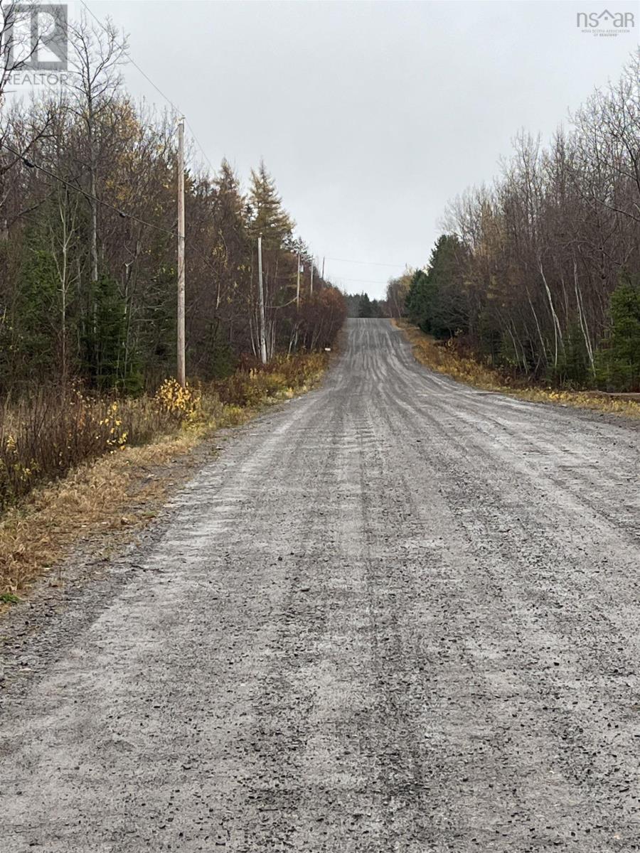 Lot 2021-1 Crocker Road, Harmony, Nova Scotia  B0P 1R0 - Photo 9 - 202528387