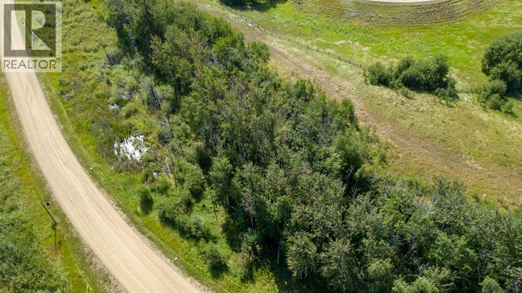 309 Wolf Run Drive, Rural Ponoka County, Alberta  T4J 0B3 - Photo 7 - A2194603