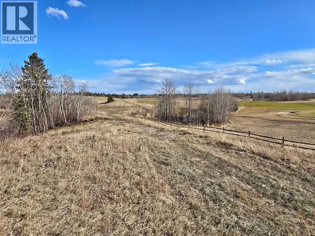 309 Wolf Run Drive, Rural Ponoka County, Alberta  T4J 0B3 - Photo 25 - A2194603