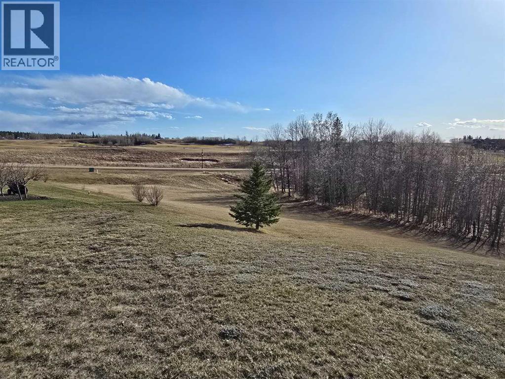 414 Sand Hills Drive, Rural Ponoka County, Alberta  T4J 0B3 - Photo 4 - A2194610