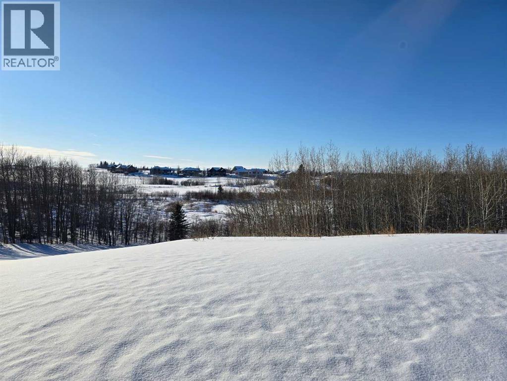 414 Sand Hills Drive, Rural Ponoka County, Alberta  T4J 0B3 - Photo 22 - A2194610