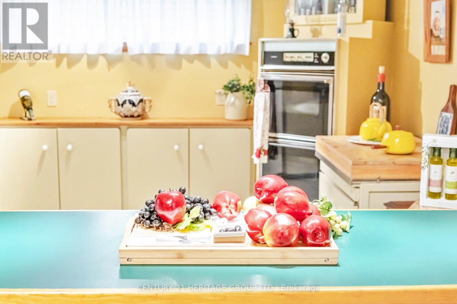 22 Poplar Drive, Richmond Hill, Ontario  L4E 2X6 - Photo 38 - N12566742