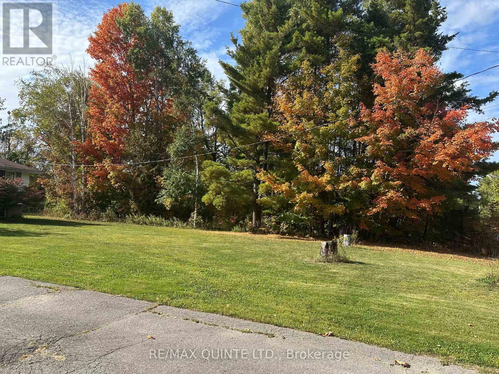 353 Carson Road, Centre Hastings, Ontario  K0K 3E0 - Photo 18 - X12567006