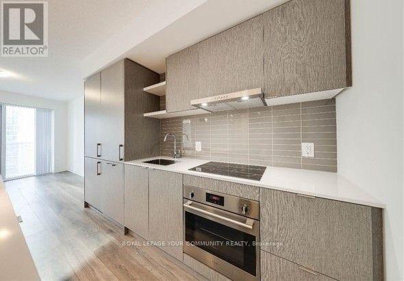 5003 - 100 Harbour Street, Toronto, Ontario  M5J 2T5 - Photo 5 - C12566994