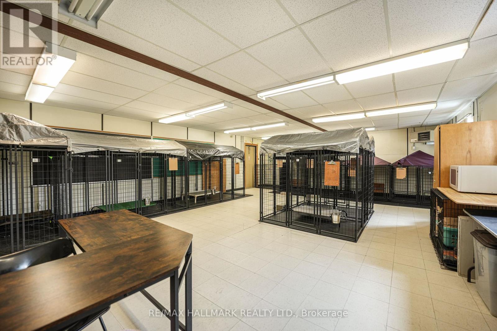 10246 Old Shiloh Road, Georgina, Ontario  L0E 1N0 - Photo 34 - N12566900