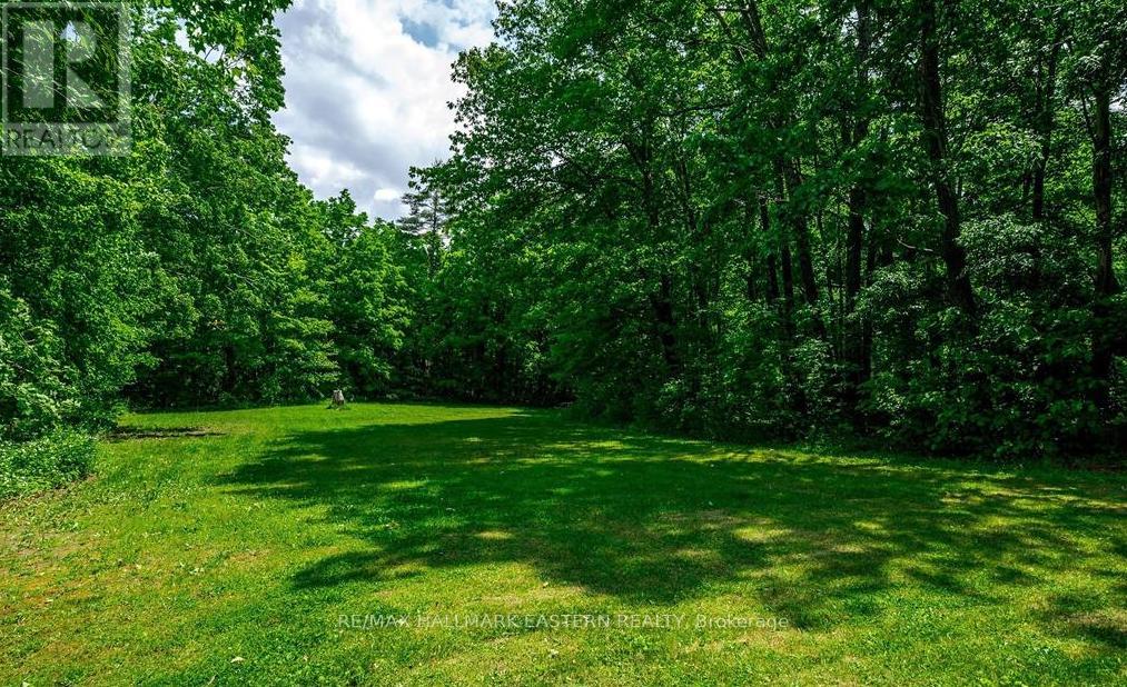 2057 Old Highway 28, Douro-Dummer, Ontario  K0L 3G0 - Photo 8 - X12567040