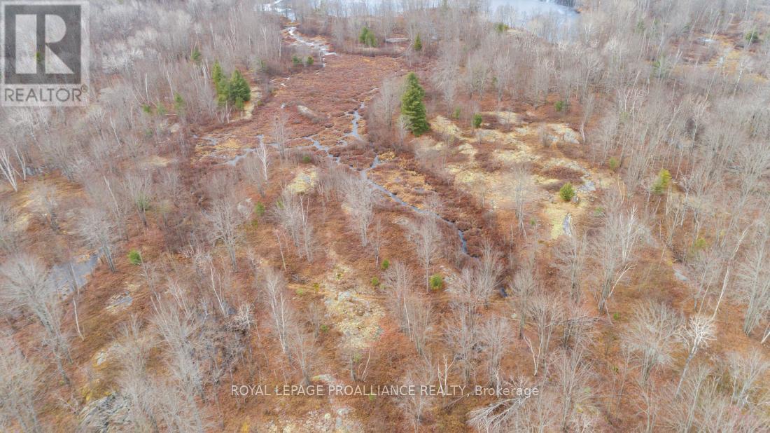 1446 Flinton Road, Tweed, Ontario  K0H 1P0 - Photo 16 - X12567042