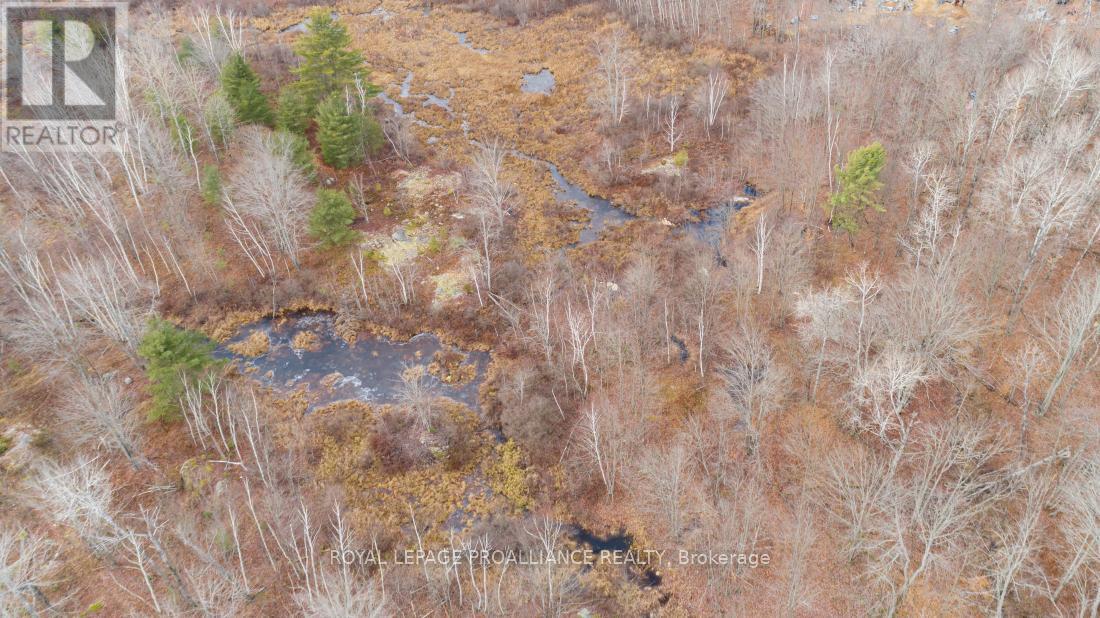 1446 Flinton Road, Tweed, Ontario  K0H 1P0 - Photo 17 - X12567042