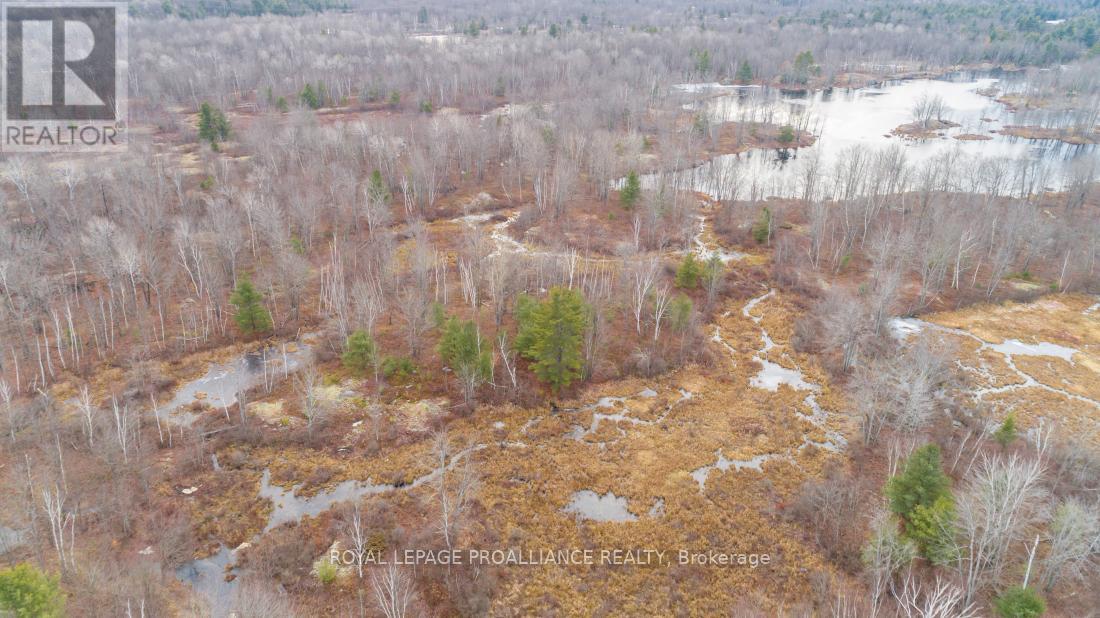 1446 Flinton Road, Tweed, Ontario  K0H 1P0 - Photo 18 - X12567042