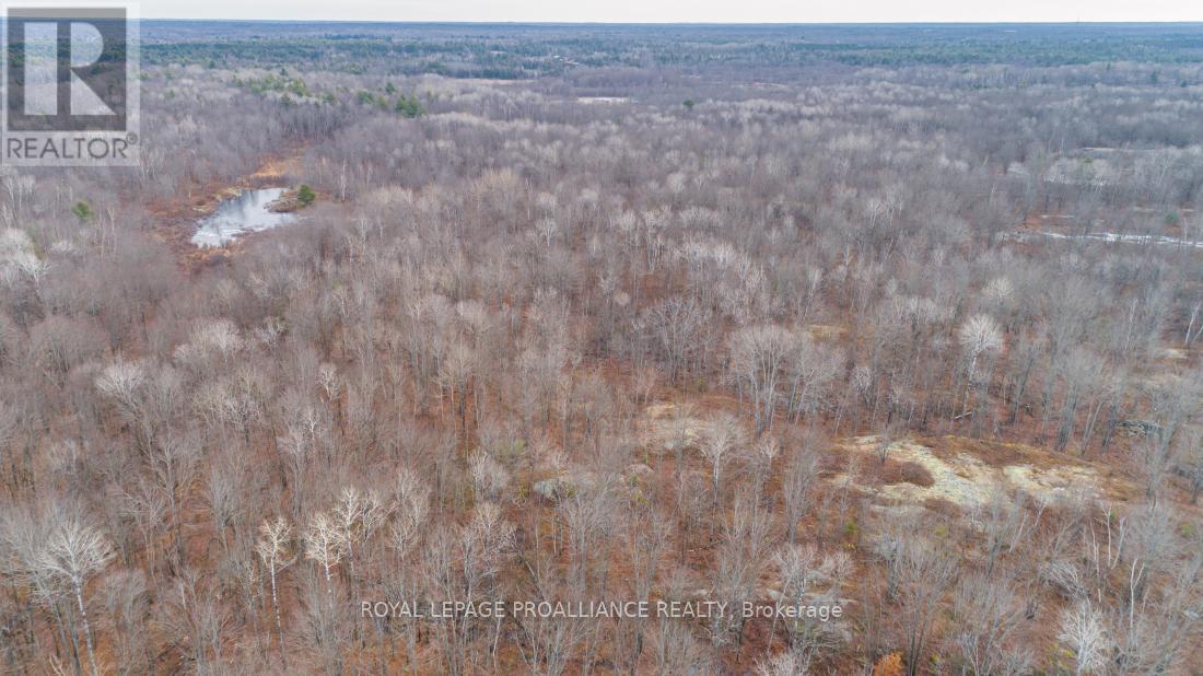 1446 Flinton Road, Tweed, Ontario  K0H 1P0 - Photo 4 - X12567042