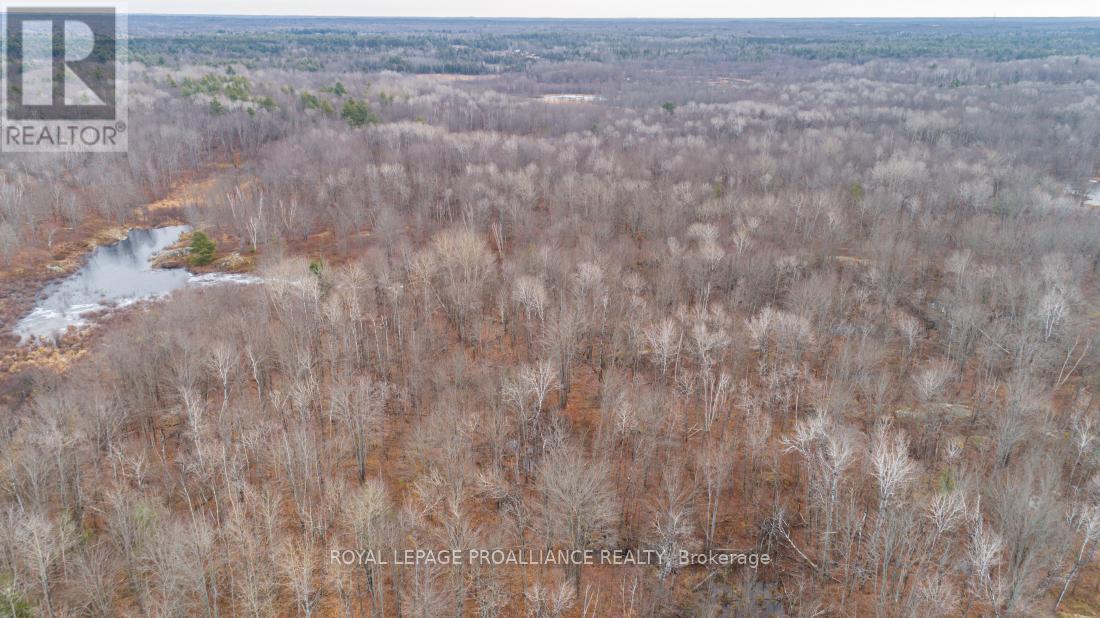 1446 Flinton Road, Tweed, Ontario  K0H 1P0 - Photo 7 - X12567042