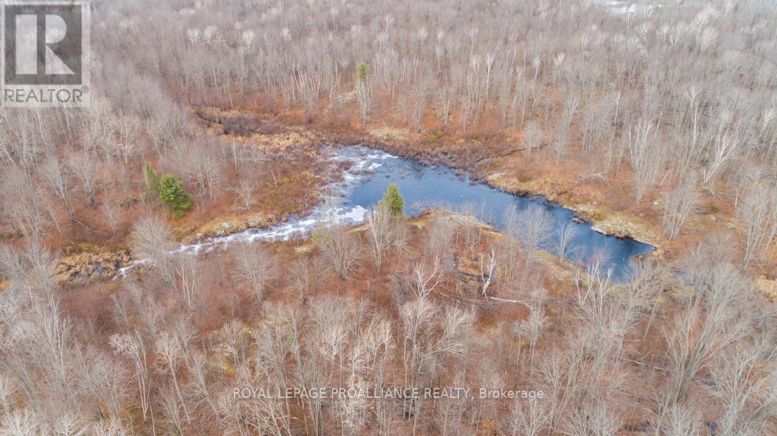 1446 Flinton Road, Tweed, Ontario  K0H 1P0 - Photo 9 - X12567042