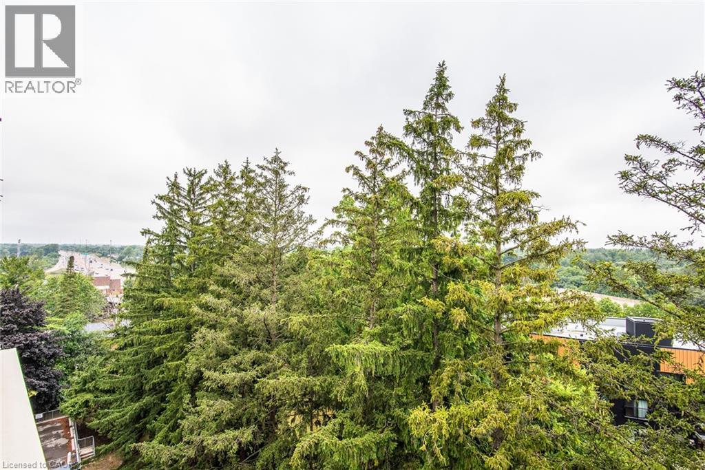 260 Sheldon Avenue N Unit# 807, Kitchener, Ontario  N2H 6P2 - Photo 35 - 40777193