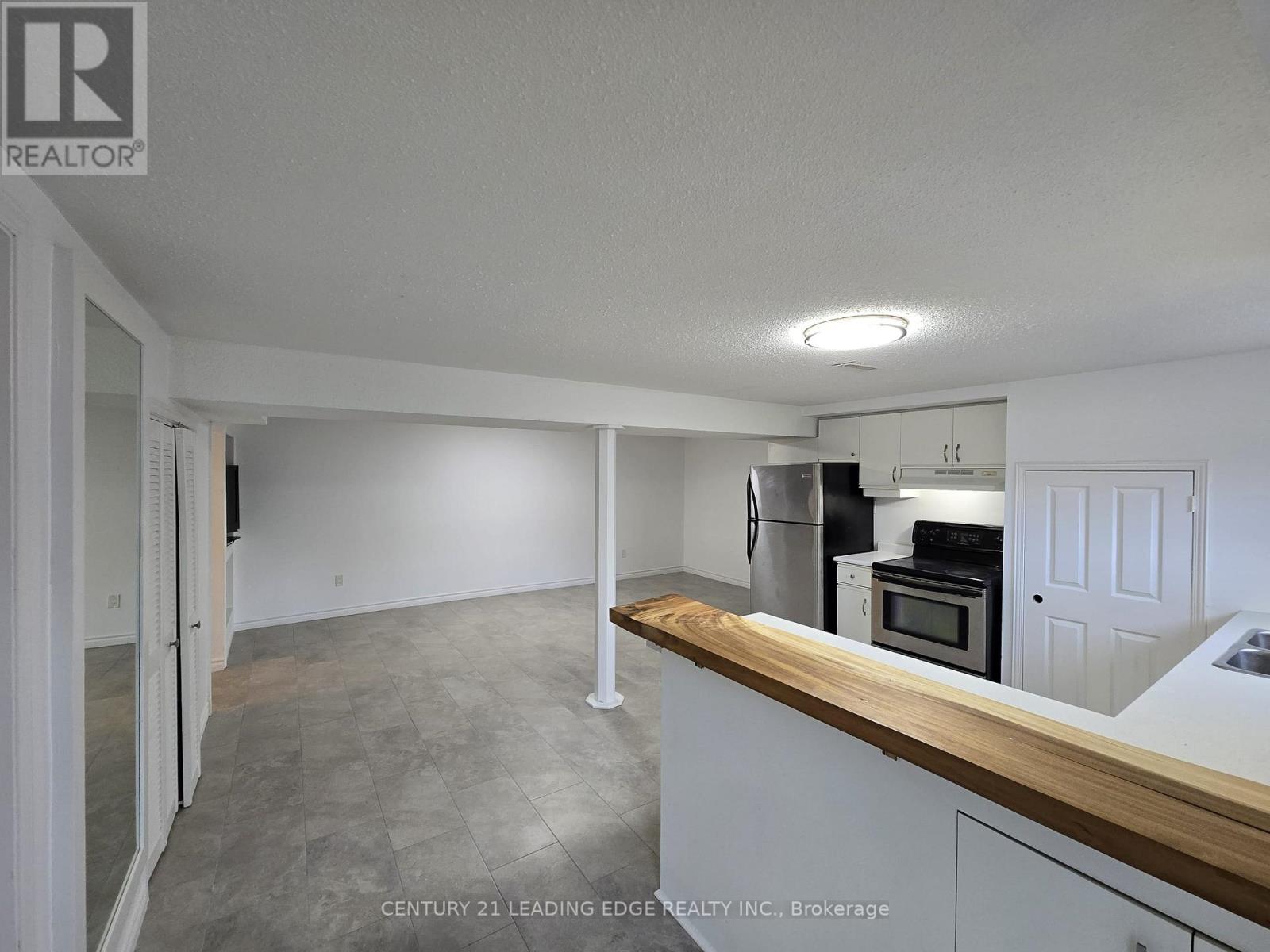 Bsmt - 276 Walter Drive, Georgina, Ontario  L4P 3A7 - Photo 4 - N12567096