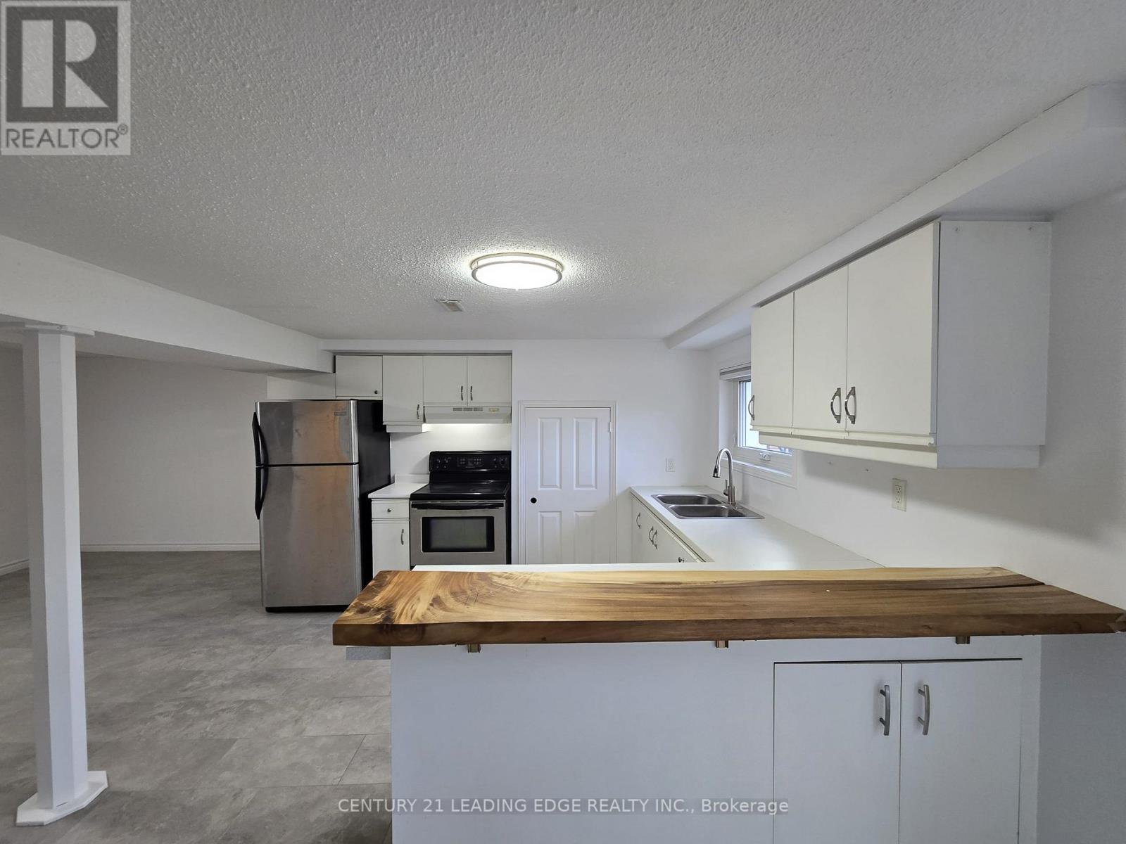 Bsmt - 276 Walter Drive, Georgina, Ontario  L4P 3A7 - Photo 9 - N12567096