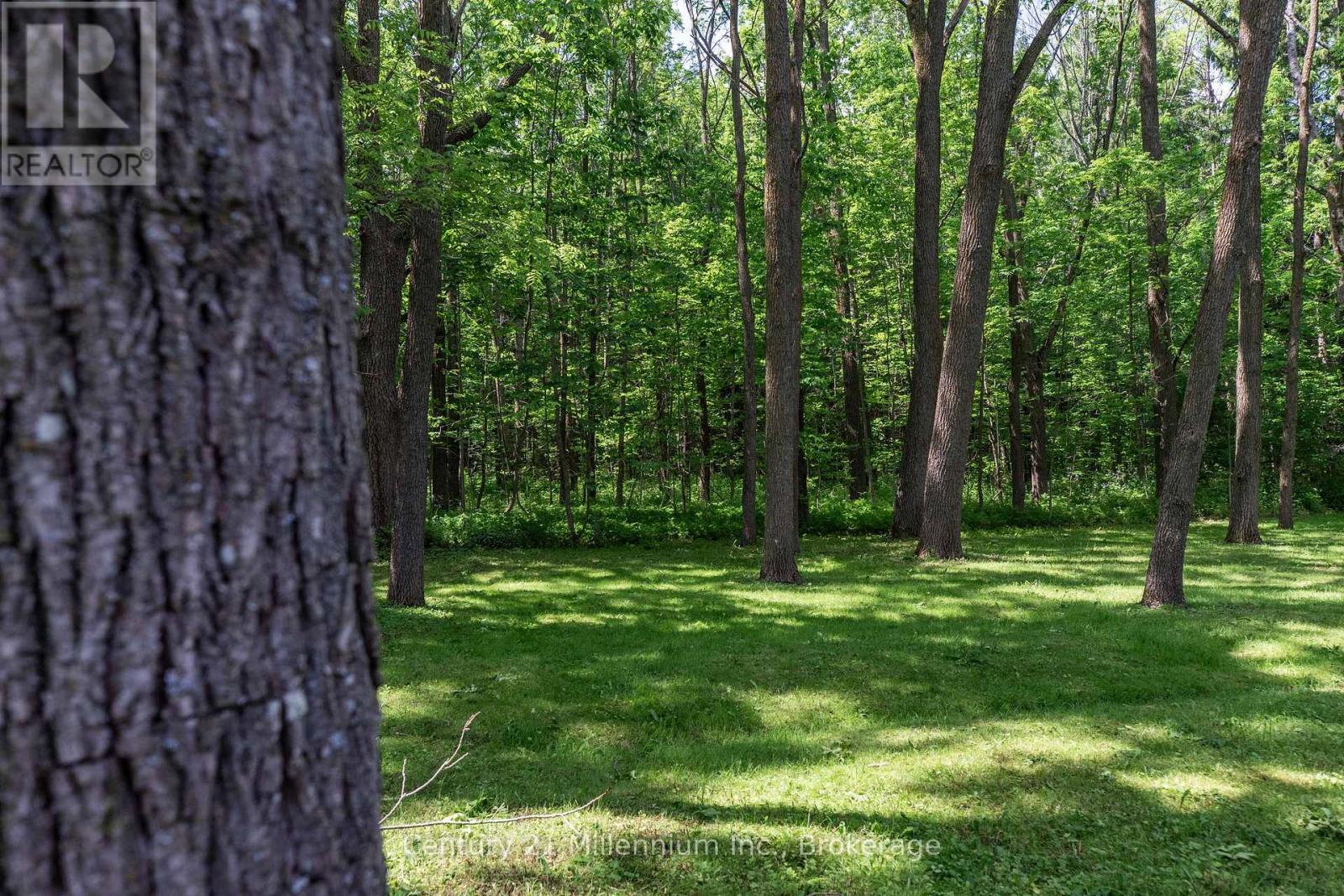 2268 8th Avenue W, Georgian Bluffs, Ontario  N4K 5M8 - Photo 13 - X12567326