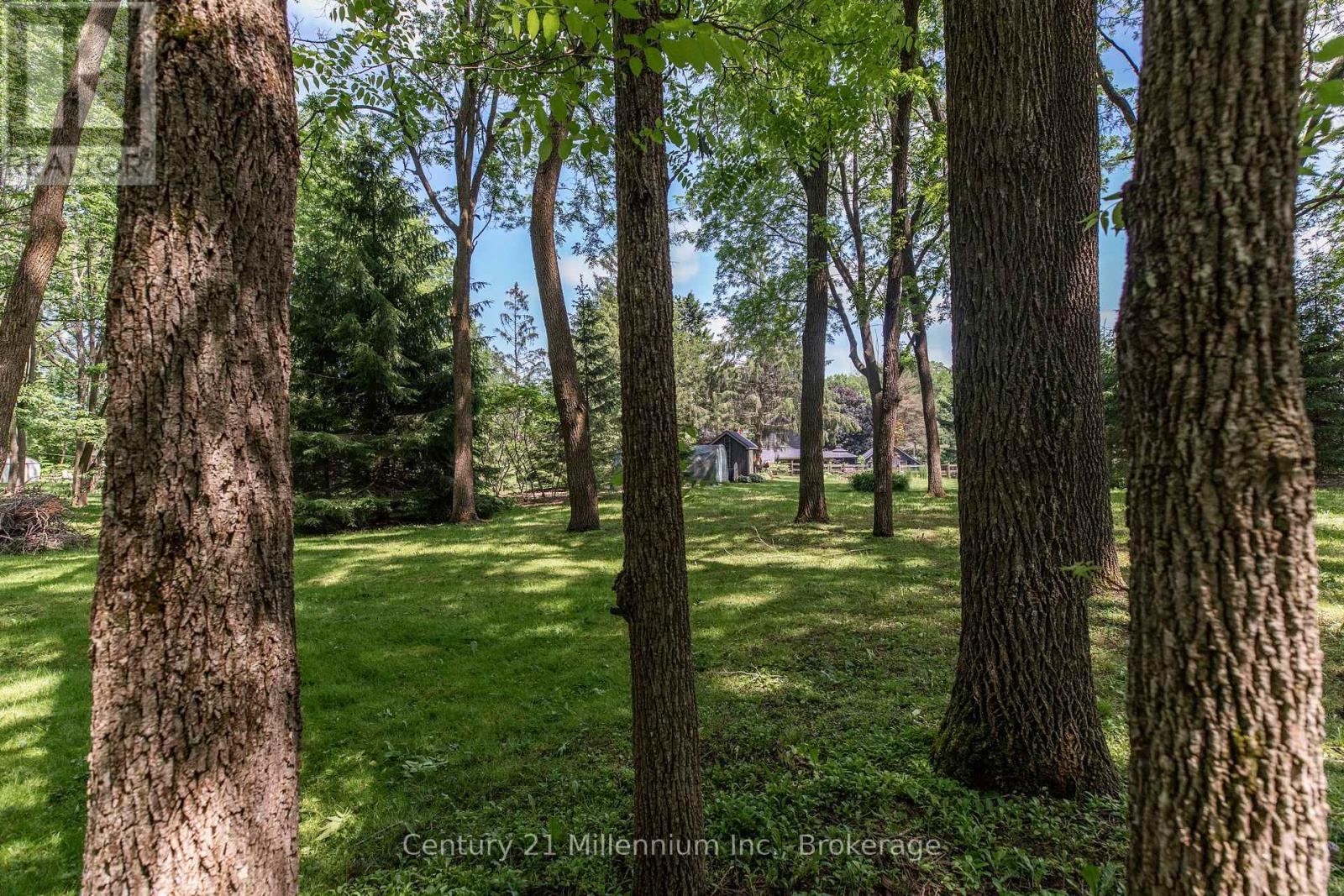 2268 8th Avenue W, Georgian Bluffs, Ontario  N4K 5M8 - Photo 49 - X12567326