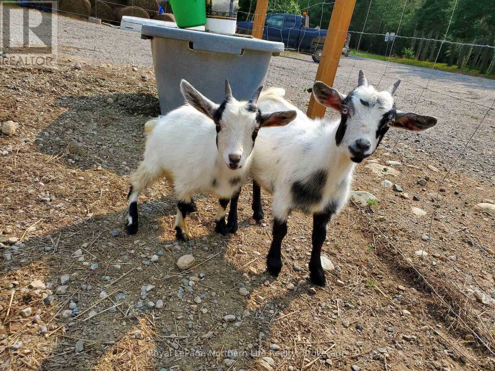 Crh9+q8 Sables-Spanish River, Algoma Remote Area, Ontario  P0P 1P0 - Photo 29 - X12567434