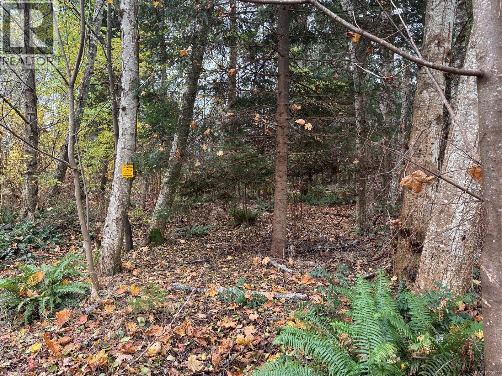 B 513 Erickson Rd, Campbell River, British Columbia V9W 1S8 - Photo 17 - 1020922