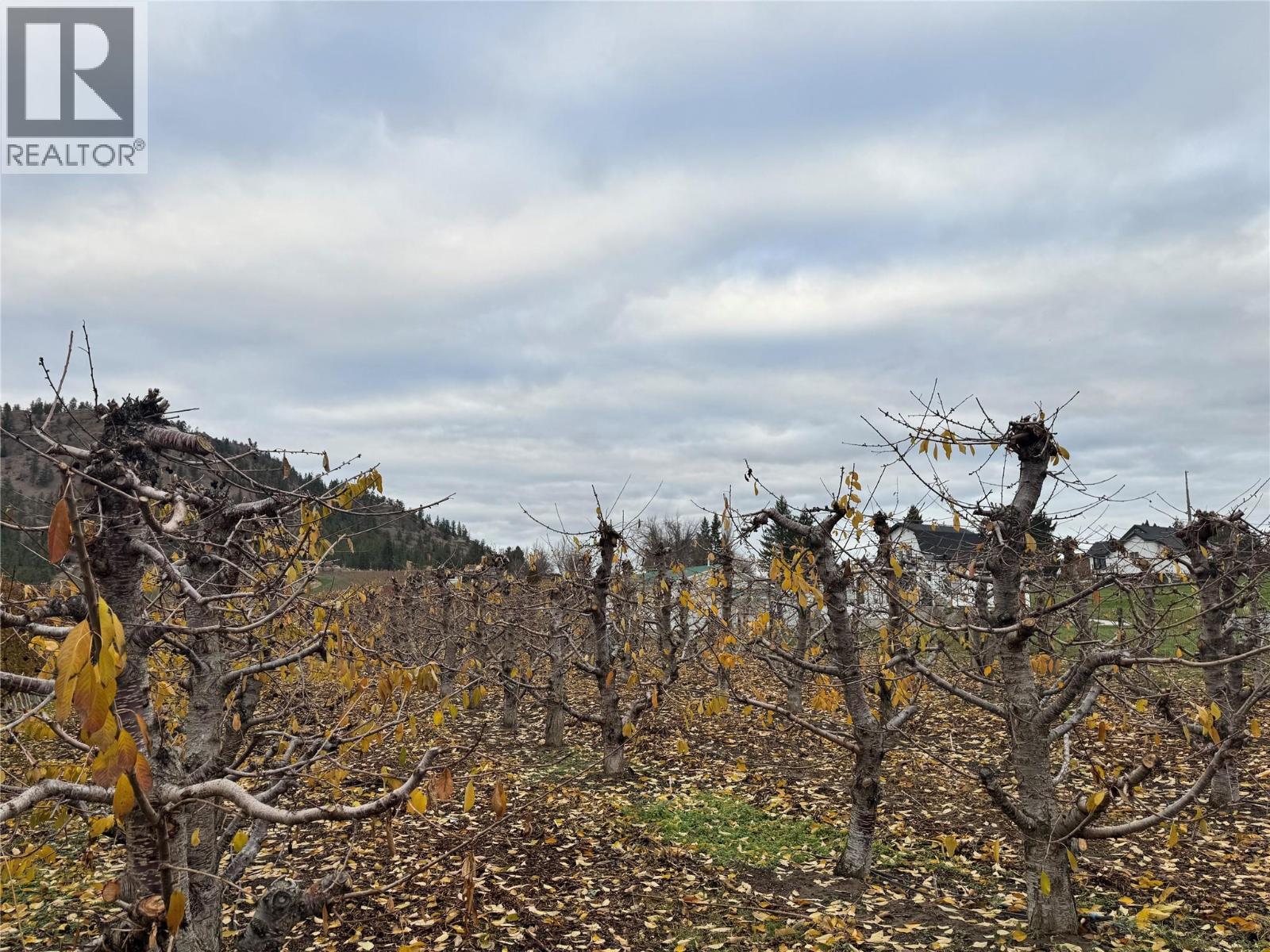 5803 Lewes Avenue, Summerland, British Columbia  V0H 1Z2 - Photo 4 - 10369801