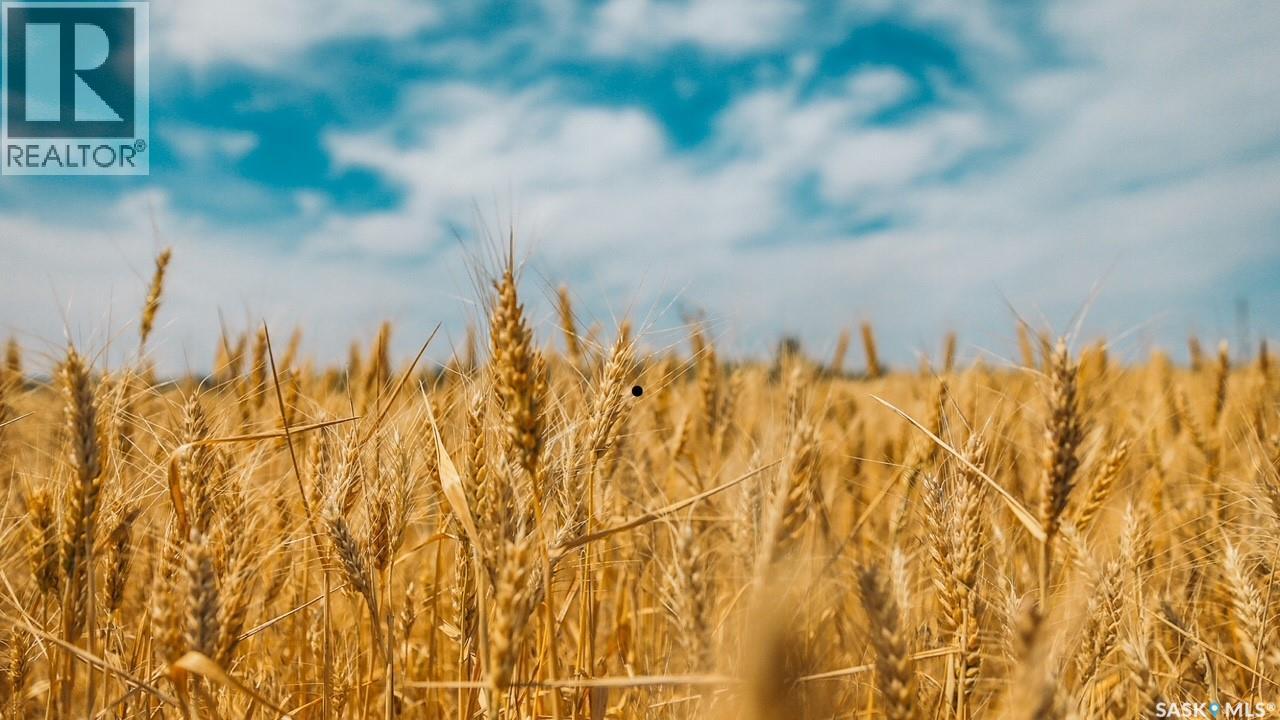Lessmeister Quarter Section, Three Lakes Rm No. 400, Saskatchewan  S0K 2X0 - Photo 1 - SK024514